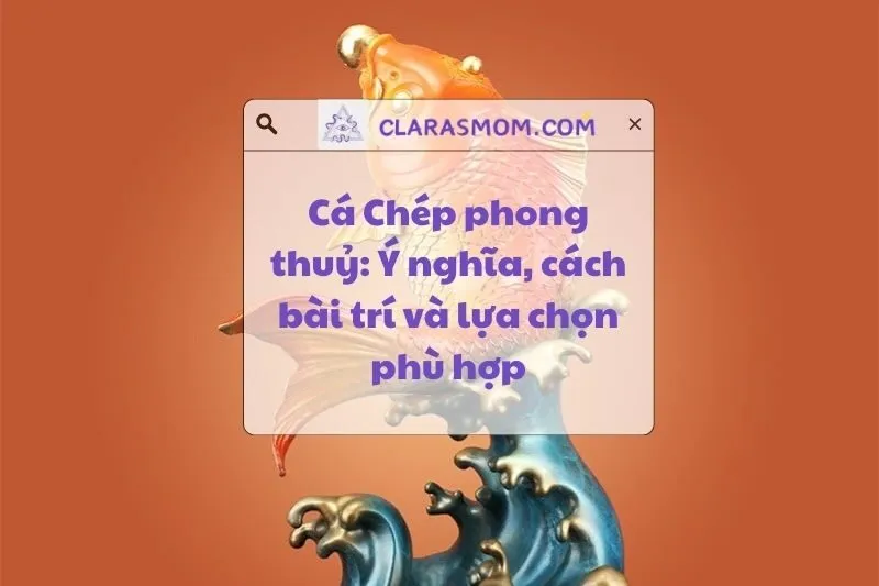 Ý nghĩa cá chép phong thủy: Cách bài trí mang lại tài lộc 2025