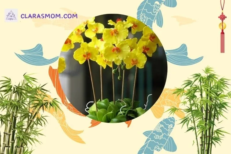 Cách bài trí cây hoa lan phong thủy trong không gian sống
