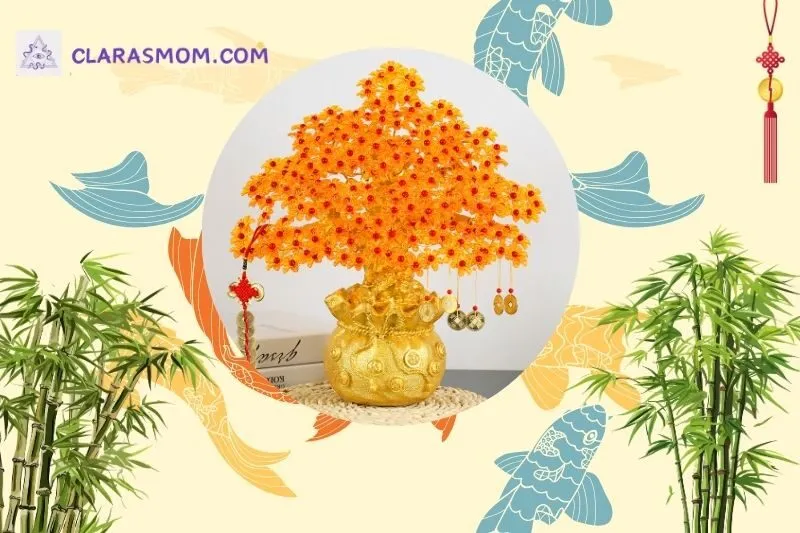 Cách bài trí cây kim tiền phong thuỷ đúng cách