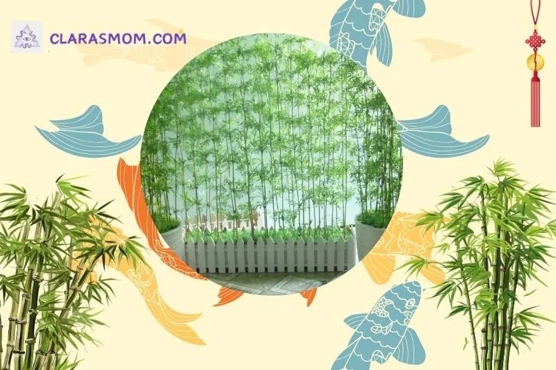 Cách bài trí cây trúc quân tử theo phong thuỷ