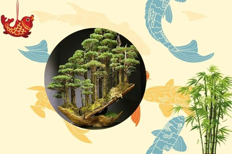 Cách chọn cây bonsai phong thủy phù hợp với mệnh