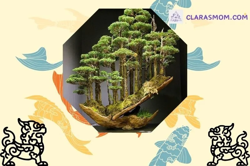 Ý nghĩa phong thủy của cây bonsai