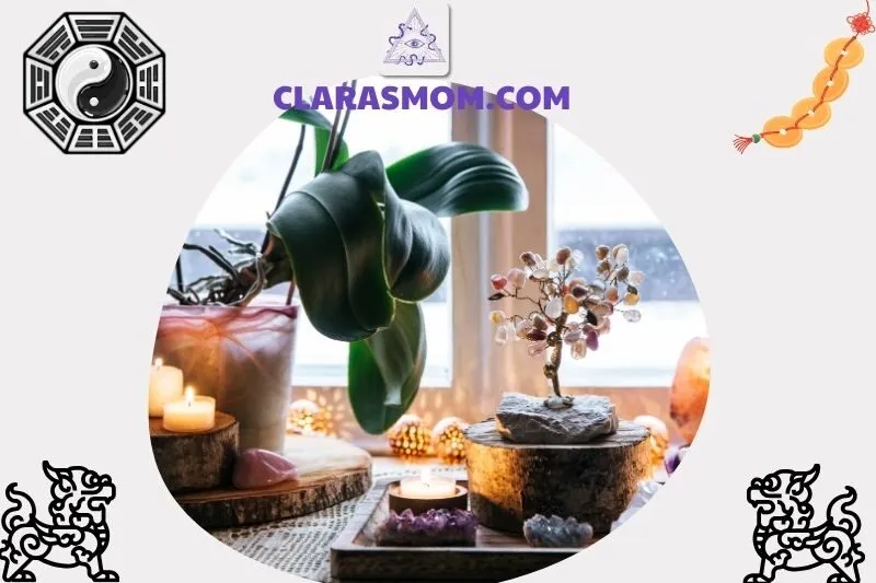 Cây cảnh phong thủy là gì? Ý nghĩa và vai trò trong cuộc sống hiện đại