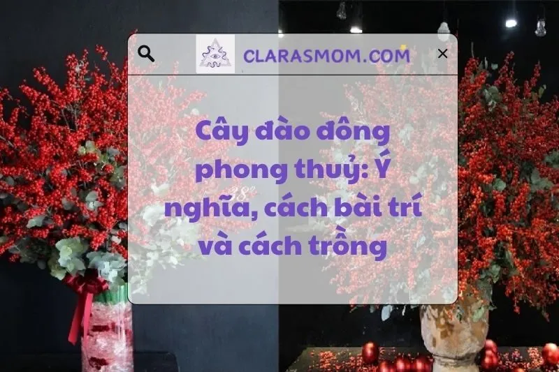 Cây đào đông phong thủy: Ý nghĩa, cách bài trí và hợp mệnh 2025