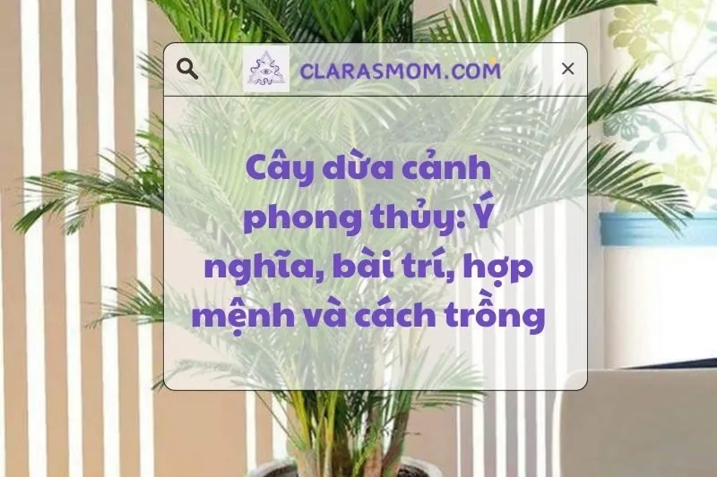 Cây Dừa Cảnh Phong Thủy: Ý Nghĩa, Cách Trồng và Chăm Sóc 2025
