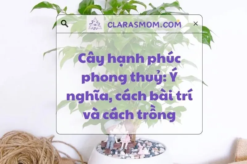 Cây hạnh phúc phong thủy: Ý nghĩa, cách bài trí và chăm sóc 2025