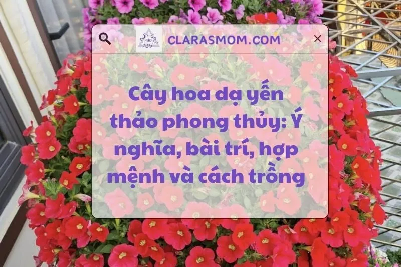 Ý nghĩa và Cách Bài Trí Cây Hoa Dạ Yến Thảo Phong Thủy 2025