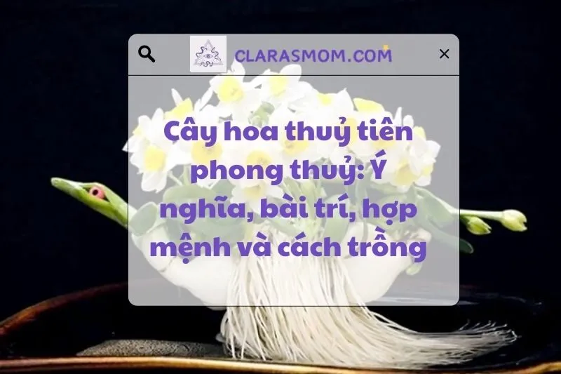 Cây Hoa Thủy Tiên Phong Thủy: Ý Nghĩa Và Cách Bài Trí Đúng Chuẩn 2025