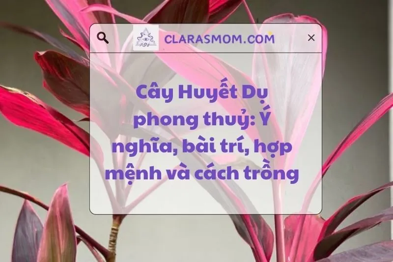 Cây Huyết Dụ Phong Thủy: Ý Nghĩa, Bài Trí và Cách Chọn Phù Hợp 2025