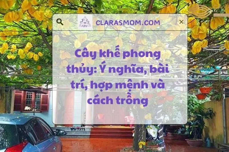 Ý nghĩa và cách trồng cây khế phong thủy cho tài lộc và may mắn 2025