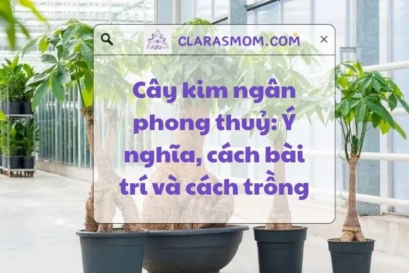 Cây kim ngân phong thuỷ: Ý nghĩa, cách trồng và bài trí hợp mệnh 2025