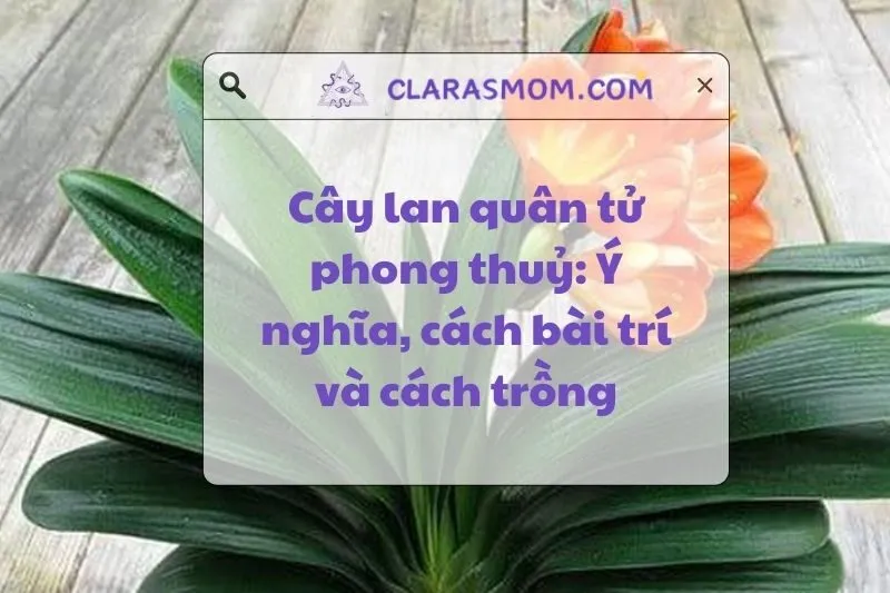 Khám Phá Ý Nghĩa Cây Lan Quân Tử Phong Thủy Và Cách Chăm Sóc 2025