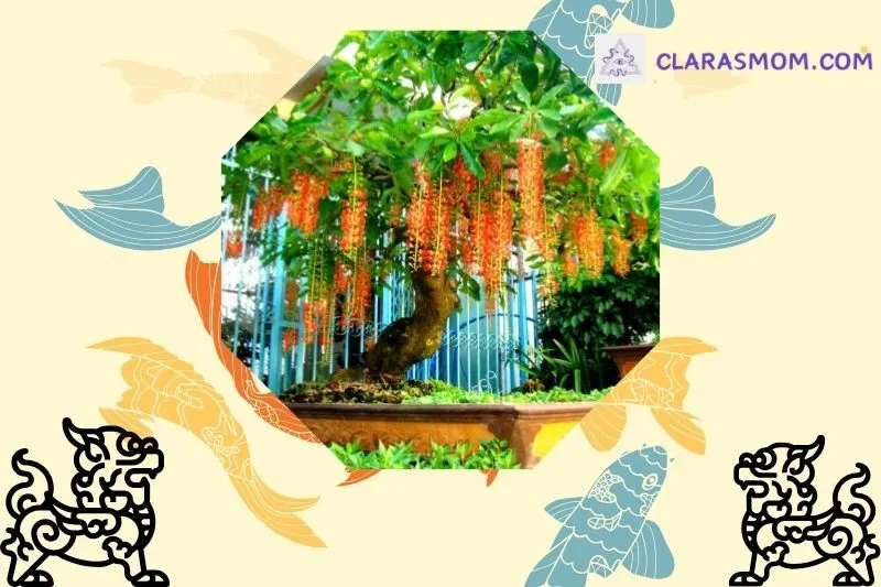 Cây lộc vừng phong thủy là gì? Ý nghĩa và công dụng