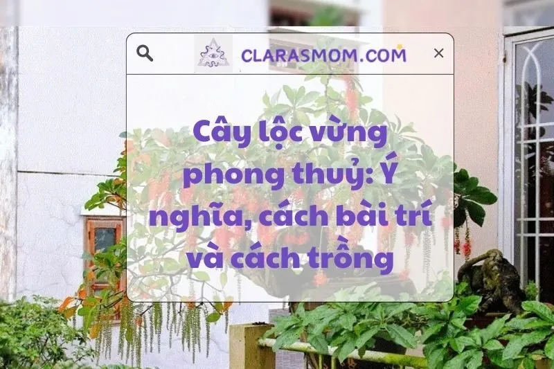 Khám Phá Ý Nghĩa Cây Lộc Vừng Phong Thủy: Tài Lộc Và Cách Trồng 2025
