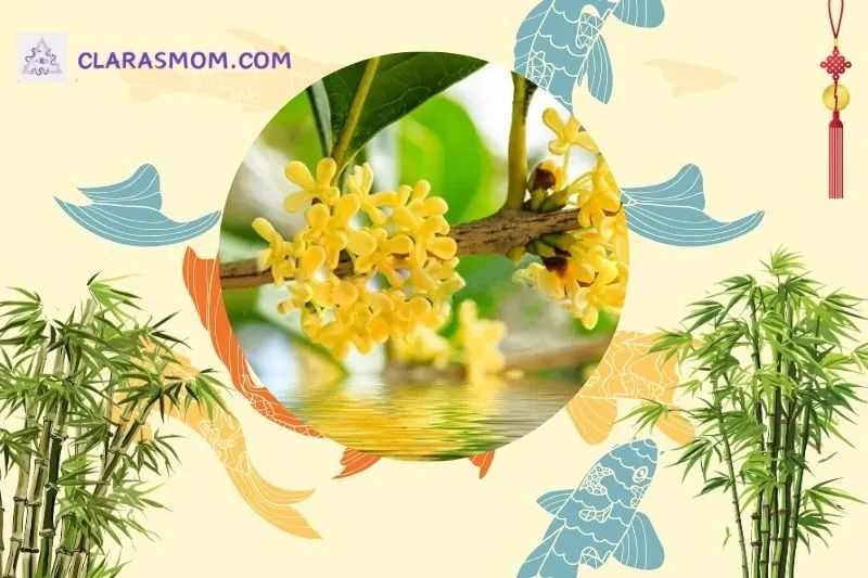 Cây mộc hương phong thủy là gì? Ý nghĩa và giá trị trong đời sống