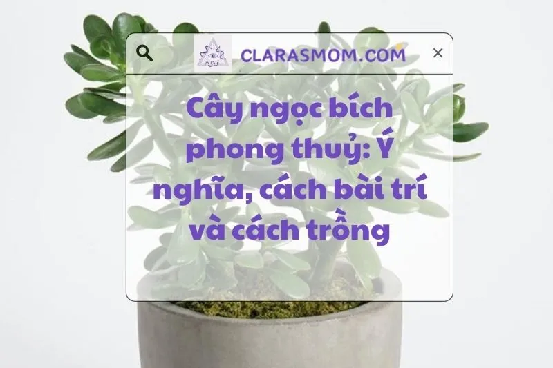 Cây Ngọc Bích Phong Thủy: Ý Nghĩa, Công Dụng và Cách Chăm Sóc 2025