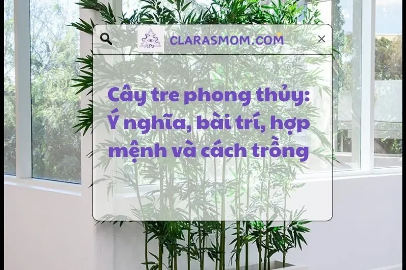 Cây Tre Phong Thủy: Ý Nghĩa, Cách Đặt, Chọn Phù Hợp với Mệnh 2025