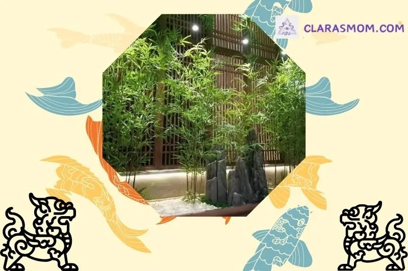 Ý nghĩa phong thuỷ của cây trúc quân tử