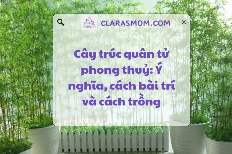 Cây trúc quân tử phong thuỷ: Ý nghĩa, cách trồng và chăm sóc 2025