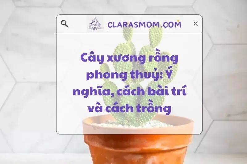 Cây Xương Rồng Phong Thủy: Ý Nghĩa, Cách Chọn Và Bài Trí 2025