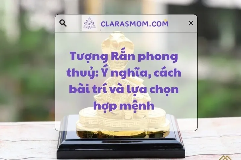 Tượng Rắn phong thủy: Ý nghĩa, cách bài trí và hợp tuổi nào?