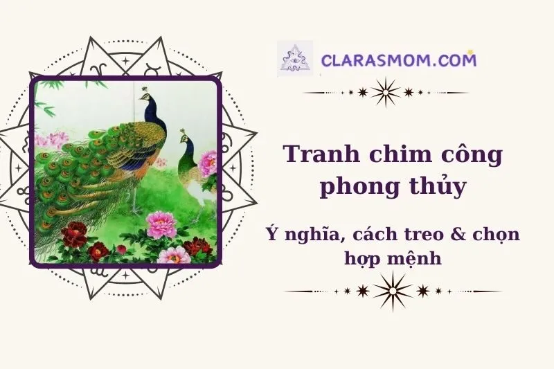 Tranh Chim Công Phong Thủy: Ý Nghĩa, Cách Chọn và Treo Hợp Phong Thủy